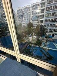 The Stellar (D5), Condominium #503052741